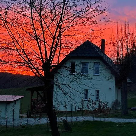 Veselka Holiday home
